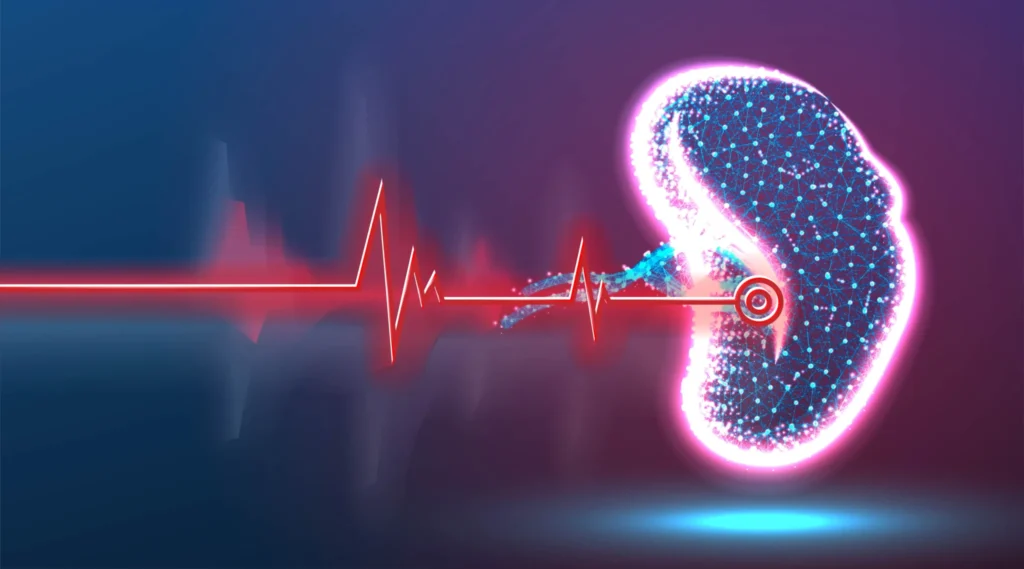  kidney stone treatment travelers can access for bloodless laser destruction.